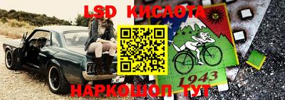 дживик Бийск