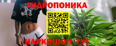 дживик Бийск