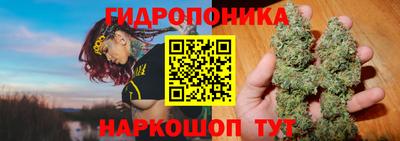 дживик Бийск