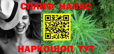 молекула духа Берёзовский
