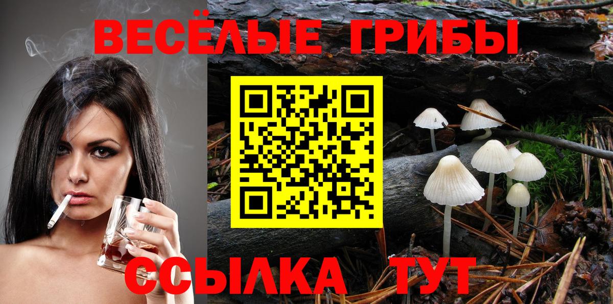 Псилоцибиновые грибы мухоморы Изобильный