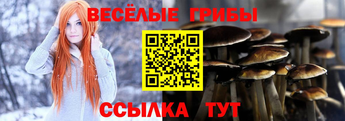 Изобильный  Галлюциногенные грибы Psilocybe  Вход с VPN 